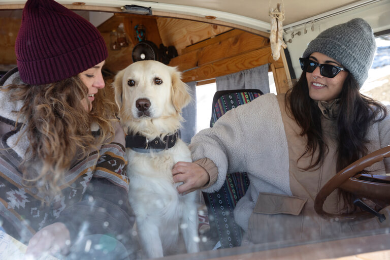 愛犬とキャンピングカー旅行｜おすすめ車両と楽しむためのポイント