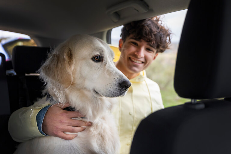 まとめ｜キャンピングカーで愛犬と快適な旅を！