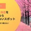 旅好きがこっそり教える！5月の北海道が一番楽しめる理由とスポット
