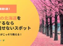 旅好きがこっそり教える！5月の北海道が一番楽しめる理由とスポット