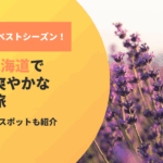 花と絶景のベストシーズン！6月の北海道で叶える爽やかな観光の旅