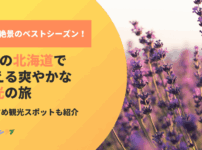 花と絶景のベストシーズン！6月の北海道で叶える爽やかな観光の旅