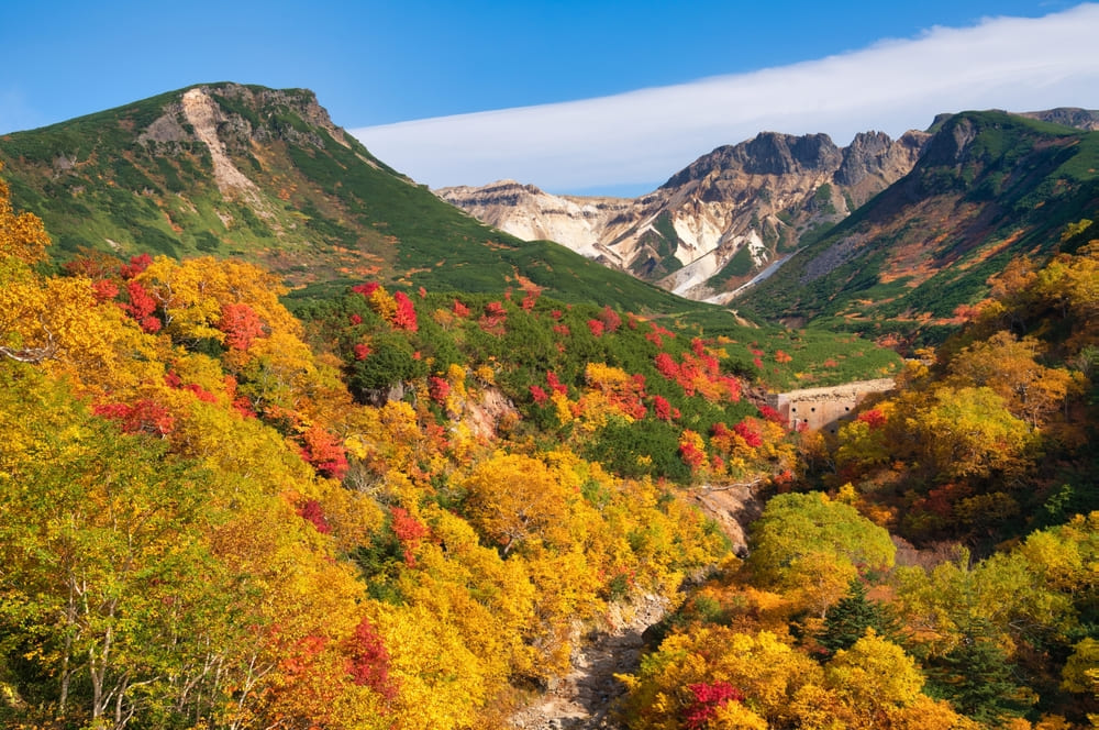 9月の北海道観光がもっと楽しくなる裏ワザ
