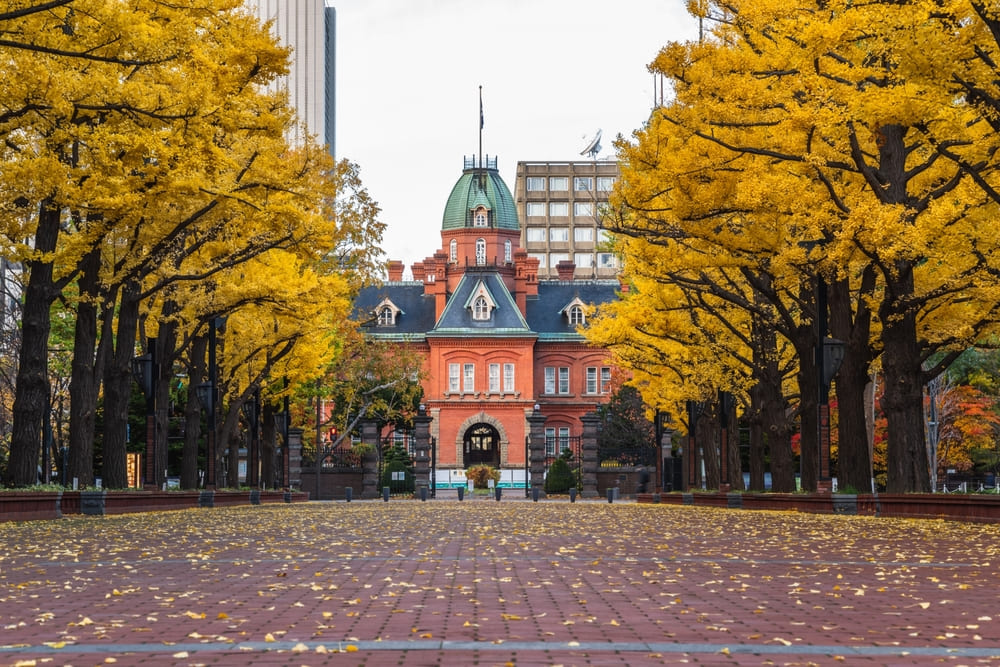 11月におすすめの北海道の観光スポット