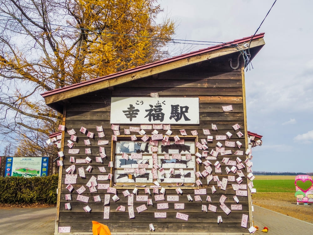 11月に北海道観光に行くなら知っておきたい気候と服装