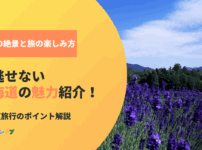 見逃せない北海道の魅力！季節ごとの絶景と旅の楽しみ方も紹介