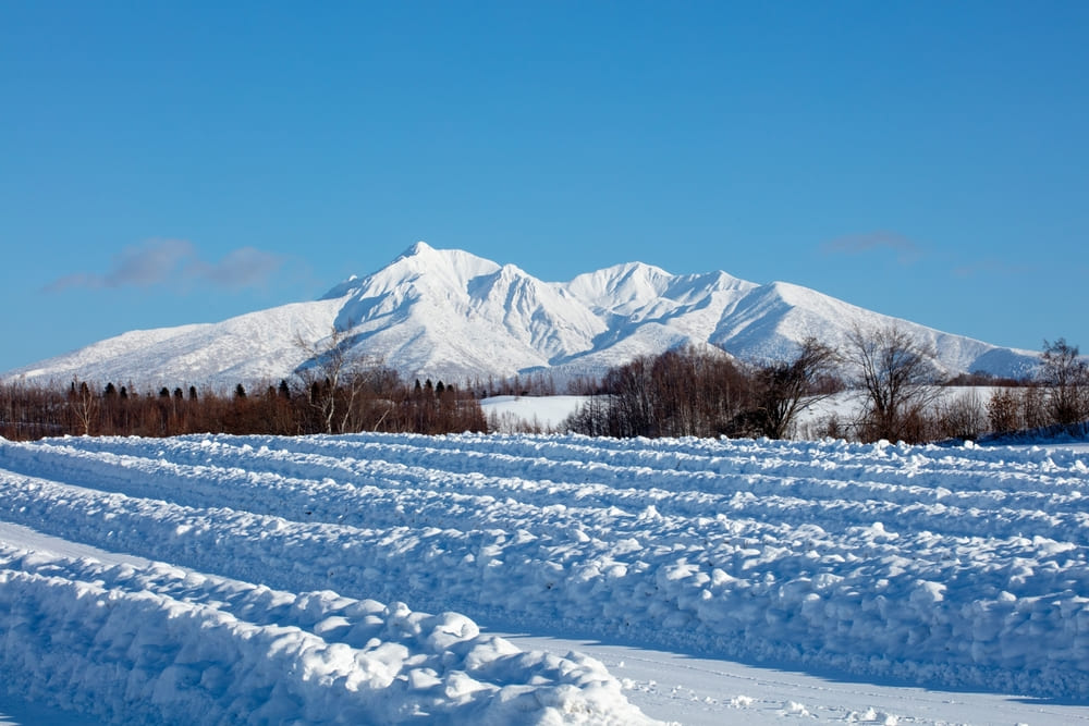 冬の北海道に観光で行くなら知っておきたいポイント