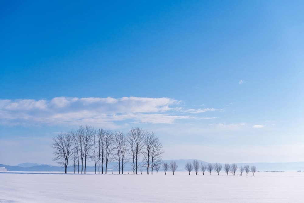 冬の北海道観光は白銀の世界が広がる特別なシーズン