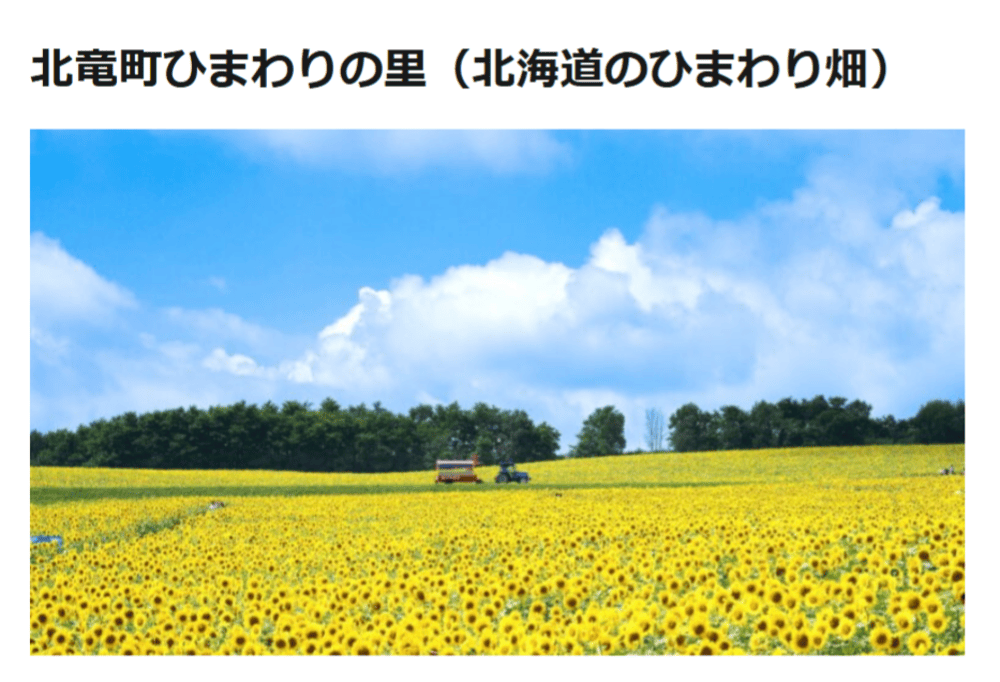 北竜町ひまわりの里